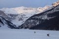 Ice Rink Lake Louise Dogs