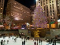 Ice Rink and Tree Rockefeller Center 08_5 Royalty Free Stock Photo