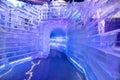 Ice Sculpture Tunnel At Gaylord Palms Resort In Orlando, January 2020