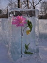Ice sculpture `Winter Flower`, Khabarovsk, Far East, Russia.
