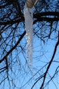 Ice on the sewers in winter Royalty Free Stock Photo