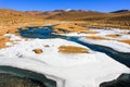 Ice sheet on grasses ,Bolivia