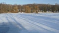 Ice sheet on the pond in ChorzÃÂ³w. Royalty Free Stock Photo