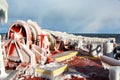 Ice of the ship and ship structures after swimming in frosty weather during a storm in the Pacific Ocean.