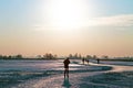 Ice skating in the countryside from the Netherlands Royalty Free Stock Photo