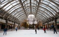 Ice Skating Rink Opening Weekend Virginia