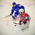 Ice Sledge Hockey Royalty Free Stock Photo