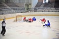 Ice Sledge Hockey Royalty Free Stock Photo