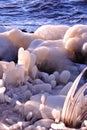 Ice Slices and Knobs Royalty Free Stock Photo