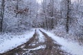 Tire Tracks Through Snow On One Lane Road Royalty Free Stock Photo