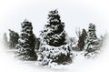 Ice and snow covered evergreen trees against a winter sky Royalty Free Stock Photo