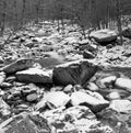 Ice and Snow on Little River in the Great Smoky Mountains Royalty Free Stock Photo