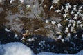 Ice snow stars on the top of frozen lake Royalty Free Stock Photo