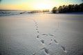 Ice snow winter texture background