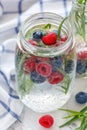 Ice sparkling water, berries and tarragon in jar. Royalty Free Stock Photo