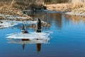 Early spring, the ice comes off the lakes, ice in the spring in the river, melted ice descended from the lake Royalty Free Stock Photo