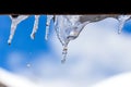 Ice stalactite pending Royalty Free Stock Photo