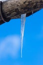 Ice stalactite pending Royalty Free Stock Photo