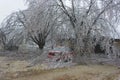 Ice Storm Damage Royalty Free Stock Photo