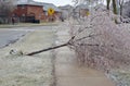 Ice Storm damage Royalty Free Stock Photo