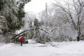 Ice Storm - December 22, 2013 Southern Ontario Royalty Free Stock Photo