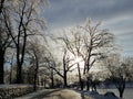 Ice Storm in New England