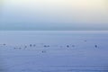 Ice surface of Plescheevo lake, Russia Royalty Free Stock Photo