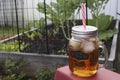 Ice Tea Garden Royalty Free Stock Photo