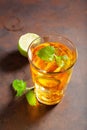 Ice tea with lemon and mint Royalty Free Stock Photo
