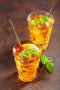 Ice tea with lemon and mint Royalty Free Stock Photo
