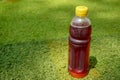 Ice tea in the plastic bottle on green grass background Royalty Free Stock Photo