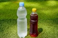 Mineral water and Ice tea in the plastic bottle on green grass background Royalty Free Stock Photo