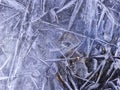 Ice texture. Ice on the river. Ice abstract. Royalty Free Stock Photo