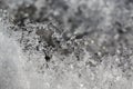 ice texture, melting snow, icing. Royalty Free Stock Photo