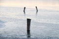 Ice and Timber pile on Kunming Lake, Summer Palace, Beijing, China. Royalty Free Stock Photo