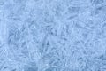 Ice tracery texture