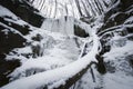 Ice on tree trunk fallen near waterfall in forest