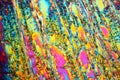 Ice under the microscope Royalty Free Stock Photo