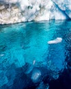 Ice under the water looks turquoise in color Royalty Free Stock Photo