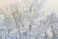 Ice on a window, background Royalty Free Stock Photo