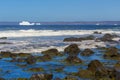 Iceberg along the Newfoundland coastline