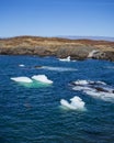 Iceberg along the Newfoundland coastline