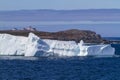 Iceberg along the Newfoundland coastline Royalty Free Stock Photo