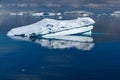 Iceberg in Antarctica Looks Like Head of Crocodile, Iceberg with Reflections in Calm Unruffled Ocean Water