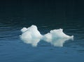 Iceberg Bit Royalty Free Stock Photo