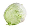 Iceberg or Crisphead, Lactuca sativa Royalty Free Stock Photo