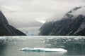 Iceberg and Dawes Glacier at Endicott Arm Fjord Royalty Free Stock Photo