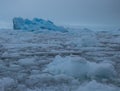 Iceberg Off the Coast of Antarctica Royalty Free Stock Photo