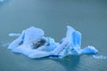 Iceberg floating on Lake Argentino, Perito Moreno Glacier, Los Glaciares National Park, El Calafate, Patagonia, Argentina Royalty Free Stock Photo