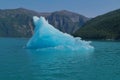 Iceberg in Tracy Arm Fjord in SE Alaska